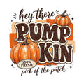 Hey There Pumpkin DTF transfer design